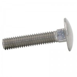 boulon de carrosserie en acier inoxydable